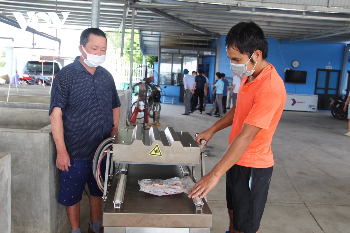 Liên kết tiêu thụ thủy sản, hạn chế thiệt hại cho người nuôi